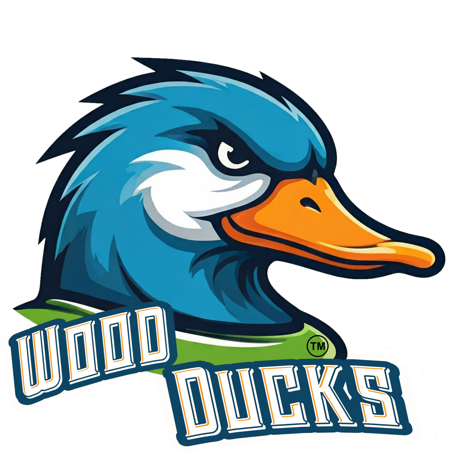 Newfane Wood Ducks